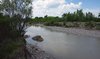 Fiume Orcia, zona Pian di Maggio