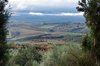 Sant'Angelo in Colle, vista sui vigneti